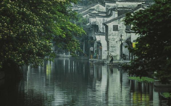 逗小猴开心系列172